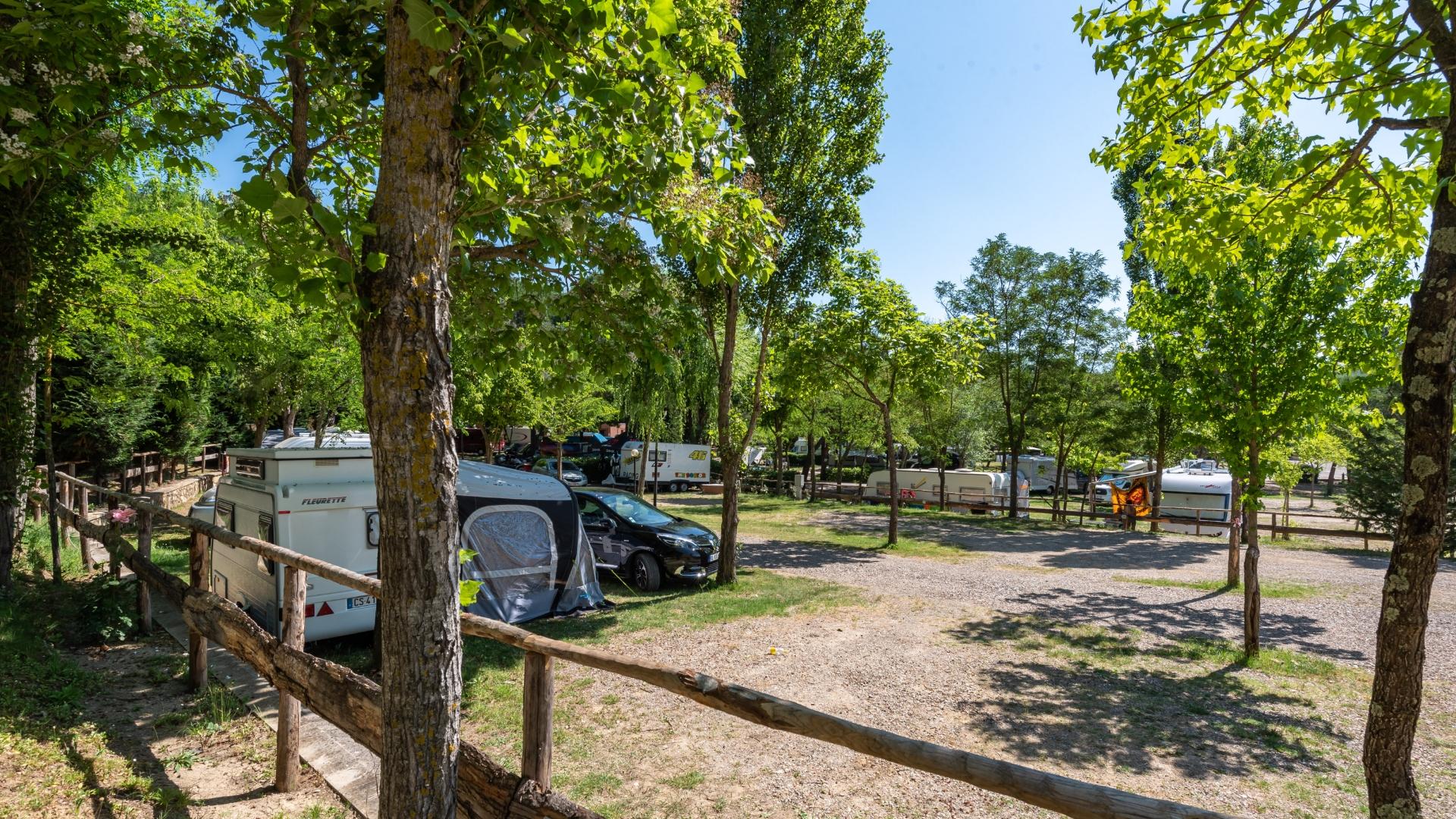 Campeggio estivo: caravan tra alberi verdi, sole splendente, atmosfera di relax e natura.