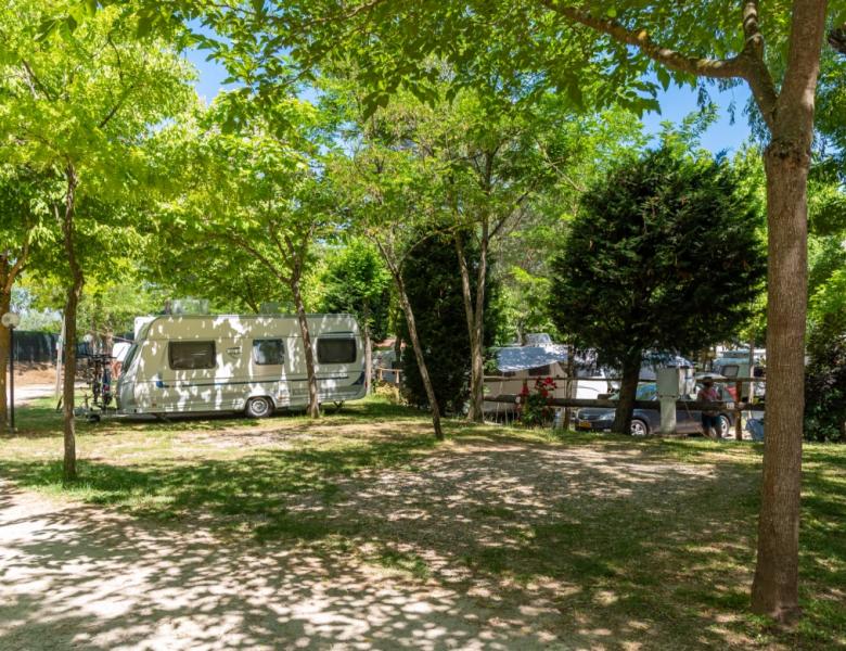Roulotte immersa nel verde, pace e natura sotto un cielo sereno.